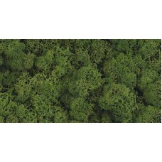 REINDEER MOSS 2.5 OZ Moss (HEADER)